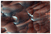 Dunes Dubbed Buzzel
