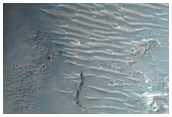 Tyrrhena Terra
