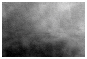 High-Latitude Gully Monitoring
