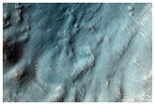 Gully Monitoring
