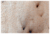 Spider on Ejecta Blanket