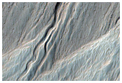 Gullies and Arcuate Ridges in Nereidum Montes
