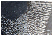 Terrain North of Nepenthes Mensae
