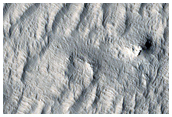 Lycus Sulci
