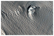 Medusae Sulci
