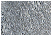 Arcadia Planitia
