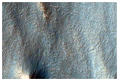 Gully Monitoring
