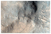 Crater Wall and Floor Features
