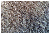 Gullies on Mesa Wall near Mareotis Fossae
