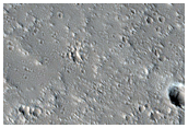 Northern Terrain Sample

