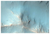 Gully Monitoring
