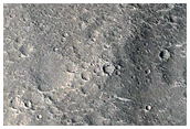 Nepenthes Planum
