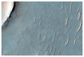 Southern Mid-Latitude Terrain Sample
