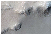Daedalia Planum

