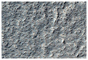 Margins of Kepler Crater

