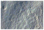 Gully Comparison on Northern and Southern Rims of Asimov Crater
