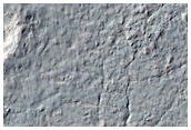 Mid-Latitude Terrain Sample

