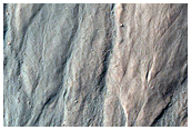Gully Monitoring
