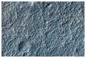 Terrain Sample
