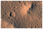 Pitted Material on Floor of Well-Preserved Crater in Elysium Planitia
