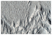 Ridges in Amazonis Planitia
