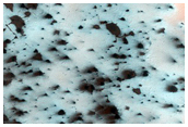 South Polar Region Cryptic Terrain Margin Monitoring in Reynolds Crater
