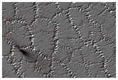 Bright and Dark Seasonal Fans on Patterned Ground
