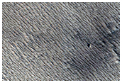 Candidate Recent Impact Site
