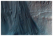Gully Monitoring
