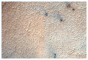 Seasonal Monitoring of Spiders Off South Polar Layered Deposits
