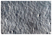 Layers in Trough Wall Near Reykholt Crater
