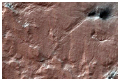 Seasonal Monitoring of Spiders on South Polar Layered Deposits
