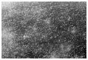 Thermally Distinct Unit in Amazonis Planitia
