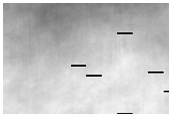 Dune Field Activity Monitoring

