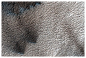 Classic Spider Terrain in Region Dubbed Manhattan
