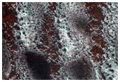 USGS Dune Database Entry Number 2216-566
