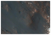 Megabreccia in Central Uplift
