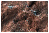 Spider Terrain
