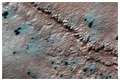 Seasonal Monitoring of Interesting Morphology
