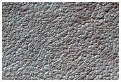 Gullies

