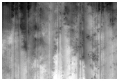 USGS Dune Database Entry Number 1393-638
