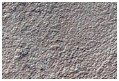 Polar Pit
