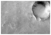 Terrain Sample

