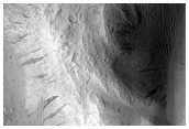 Lycus Sulci
