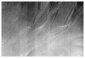 Gullies and Arcuate Ridges in Nereidum Montes
