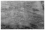 Streamlined Ejecta in Daedalia Planum
