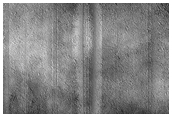Floor of Milankovic Crater
