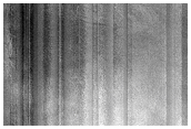 Gully Monitoring
