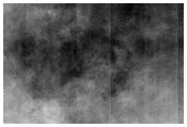 Layers in Northwest Arena Colles
