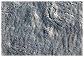 Ascuris Planum
